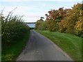 Autumn colours on Lyndon Hill