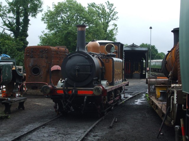Bluebell favourite Stepney in front of the 1960's shed