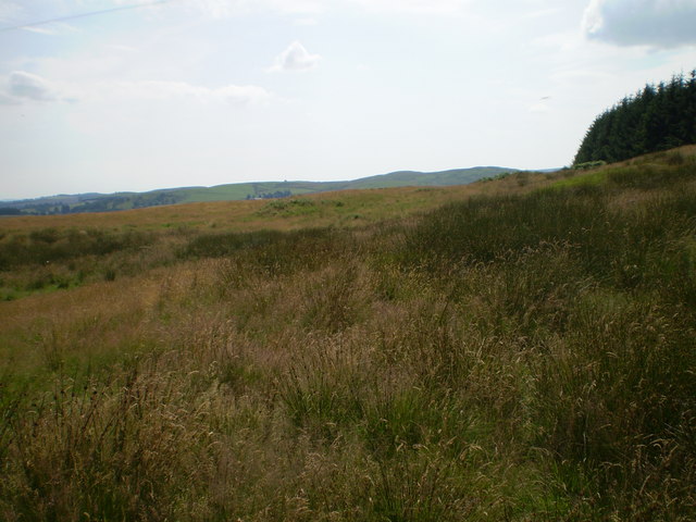 Rough grazing land on the hills west of Beattock