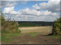 Field off Gibbs Hill, Nettlestead, Kent