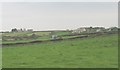 Hedge trimming at Treferwydd Farm