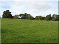 Hillside by the Ganderland footpath