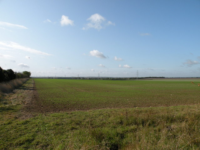 Farmland and distant pylons