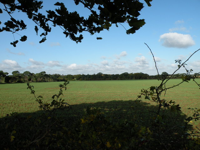 Farmland at Hare Park