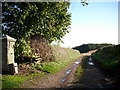 Track to Broomhill Farm.