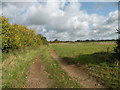 Field beside the railway line