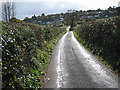 Sun after a shower in Swish Lane