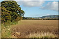 Farmland near Dron