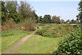 Path, Fordingbridge, Hampshire