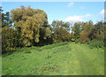 Footpath towards Dagworth