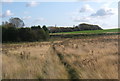 Field path towards Dagworth Lane