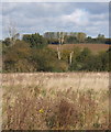 Fields and trees southeast of Haughley