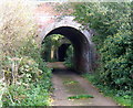 Two railway bridges