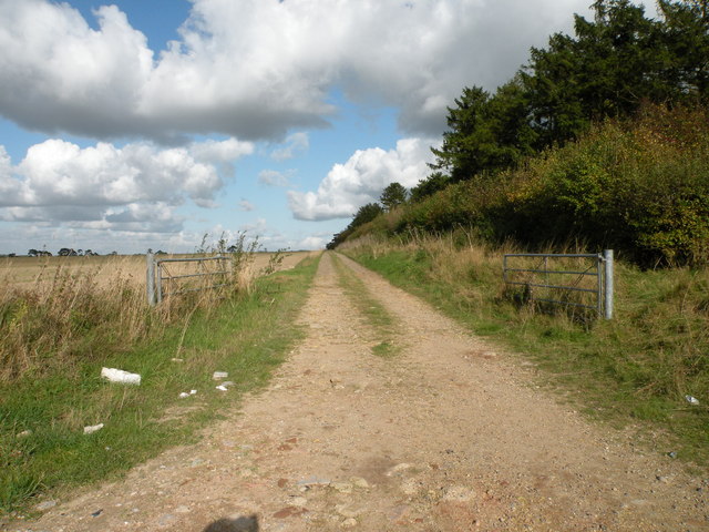 Farm track near Lark Hall