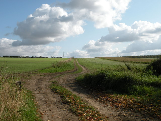 Footpath at Chilly Hill