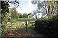 Gate to St Alphege church, Seasalter, Kent