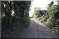 Lane opposite St Alphege church, Seasalter, Kent