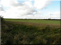 Farmland at West Wratting Valley Farm