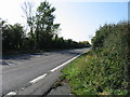 TR2463 : Looking SW along the A28 Island Road by Nick Smith