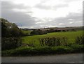 Batley Road fields.