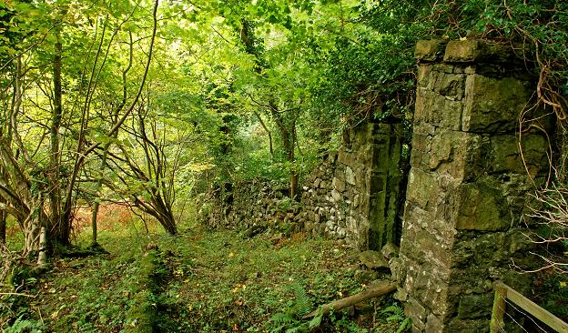 Old wall and gate, Glenarm forest
