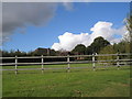 Paddock by the Catherington lane Roundabout