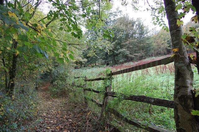 Overgrown Path and Land next to Queensway