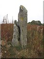 NO3638 : Balkello Standing Stone by Michael Murray