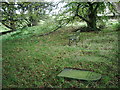 Shewbread, Quaker Burial Ground, c1668