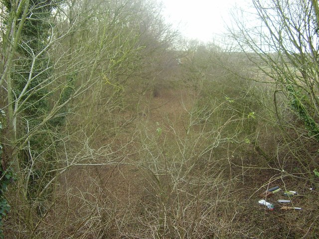 Old Trackbed of the Waveney valley railway