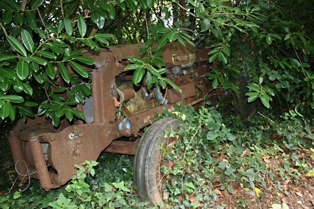 Tractor in the Hedge