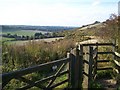 Darland Banks from Hoath Close