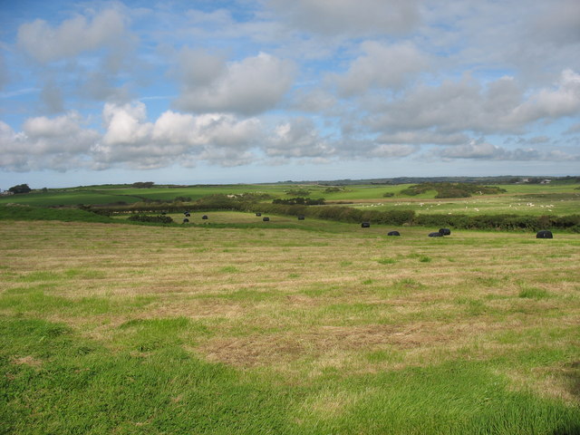 Hayfield and grazing land above Cors Bodwrog marsh