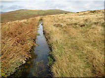 SX6771 : Dartmoor: Holne Moor Leat by Nigel Cox