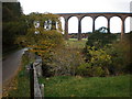 Weak Bridge Below Viaduct