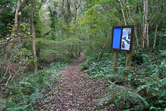 Path through Scadson Woods © Tony Atkin :: Geograph Britain and Ireland