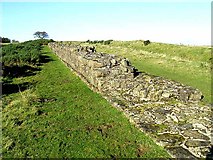 NY8871 : Hadrian's Wall by Oliver Dixon