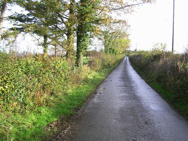 Road at Roughan
