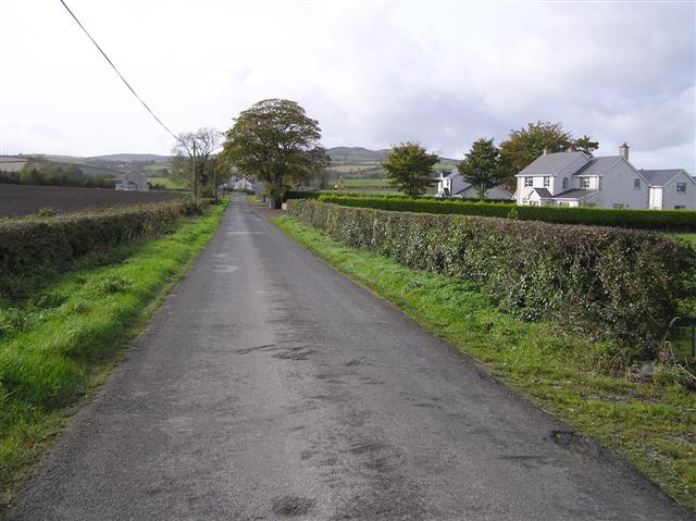 Road at Monreagh