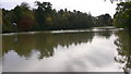 Benbow Pond, Cowdray Park