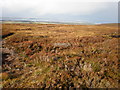 NH7741 : Grouse Moorland Above Nairnside by Sarah McGuire