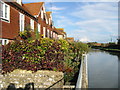 Houses on the river front at Surrey Wharf