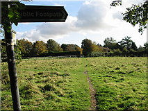 SU8404 : Footpath to the church of St Peter and St Mary, Fishbourne by Nick Smith