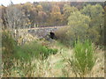 Railway Bridge near Cottartown