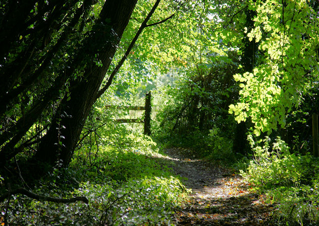 The Itchen Way © Pierre Terre :: Geograph Britain and Ireland