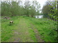 Footpath alongside the River Stour