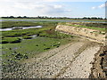 SU8303 : Looking out over Fishbourne Channel at low tide by Nick Smith