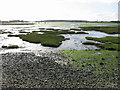 SU8303 : Looking SSW along Fishbourne Channel at low tide by Nick Smith