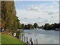 Looking towards Penton Hook Lock