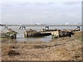 TQ5180 : Ferro-concrete barges, Rainham waterfront by David Kemp